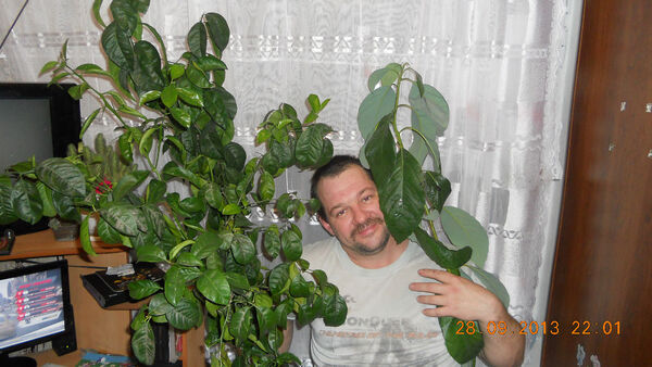  ,   , 51 ,   ,   , c 