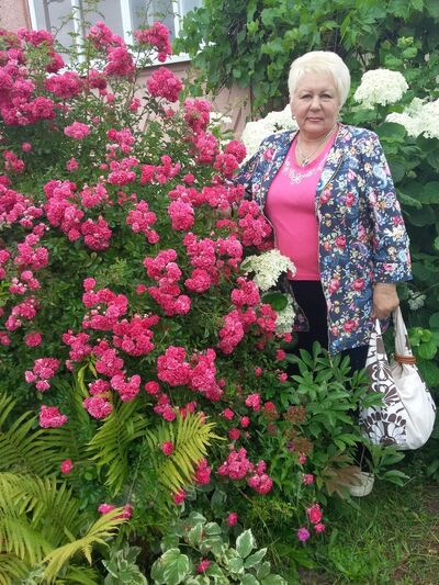  ,   , 75 ,  