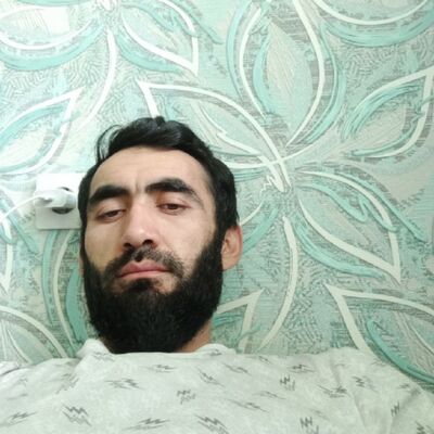  -,   Firbavs, 34 ,   ,   