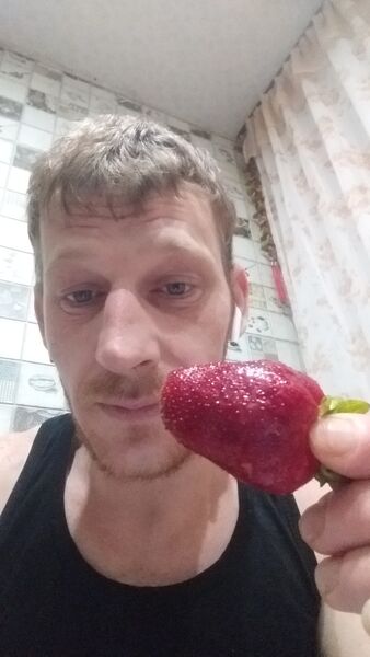  ,   Vasily, 33 ,   ,   