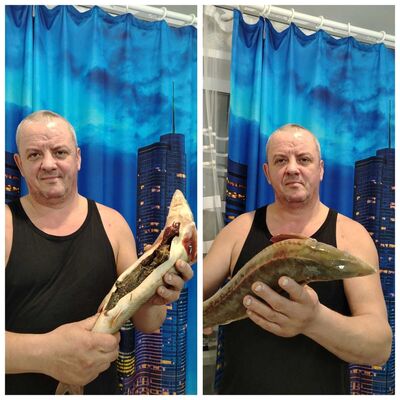  ,   Misha, 47 ,     , c 