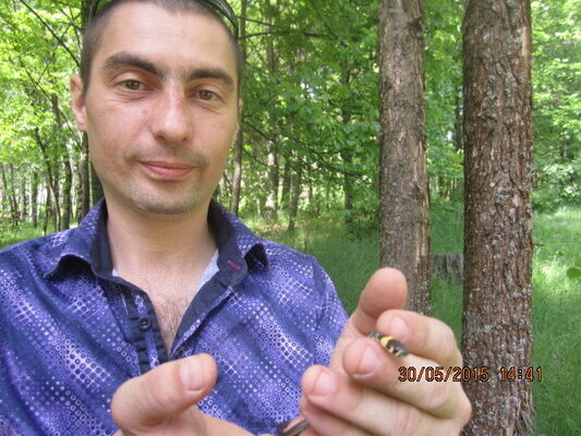  ,   , 43 ,  