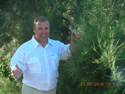  ,   , 53 ,   