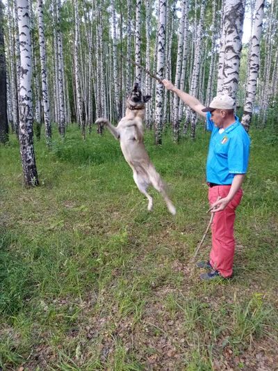  ,   Vovhik, 50 ,   ,   