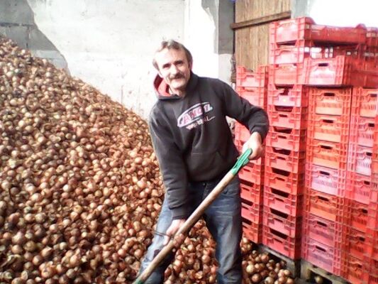  Nowy Dwor Mazowiecki,   , 62 ,     , c 