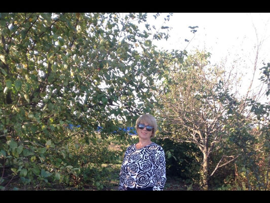  ,   , 62 ,   c 