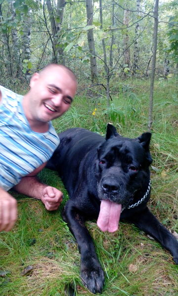   ,   Michel, 47 ,   