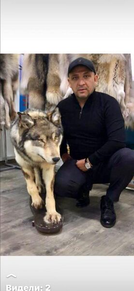  ,   LEV, 44 ,   ,   