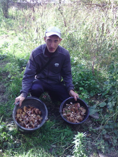  ,   , 35 ,   ,   