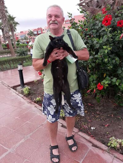  ,   , 68 ,   ,   