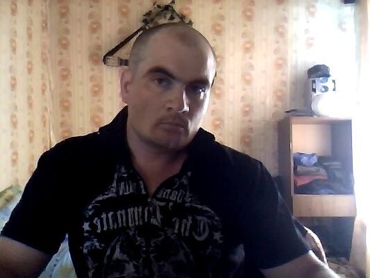  -,   , 41 ,   