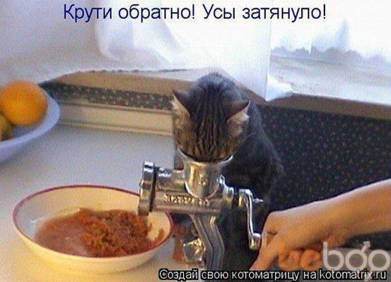  -,   , 43 ,   ,   , c 