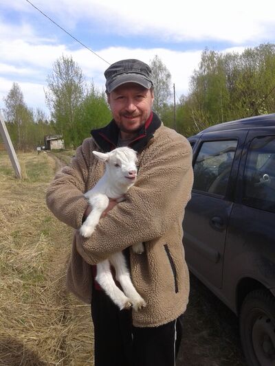  ,   Platinum Cat, 49 ,   ,   , c 
