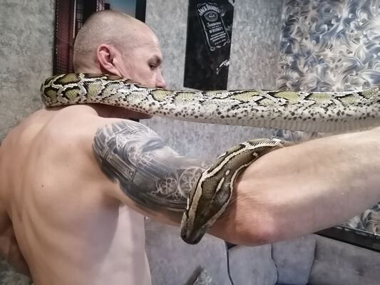  ,   , 55 ,   ,   , c , 