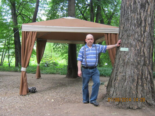  ,   , 62 ,  
