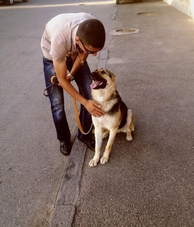  ,   Gev, 33 ,   