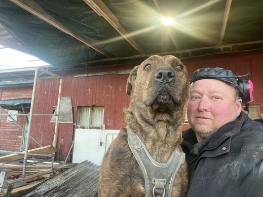  Alesund,   Paal, 53 ,   ,   