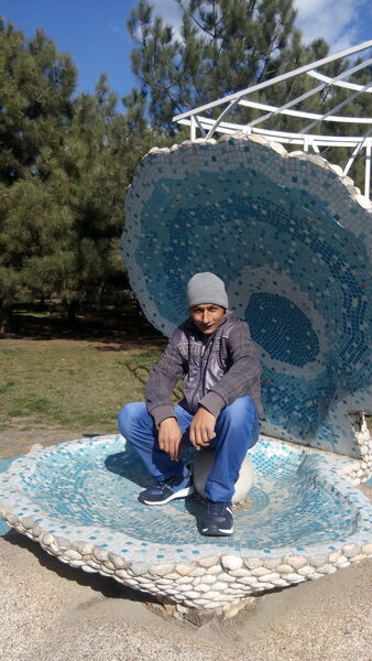  ,   , 44 ,   