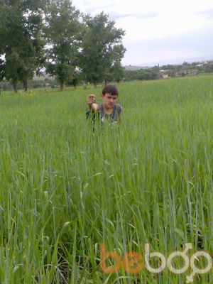  ,   Emil, 31 ,   ,   , c 