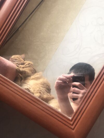  -,   , 27 ,   ,   