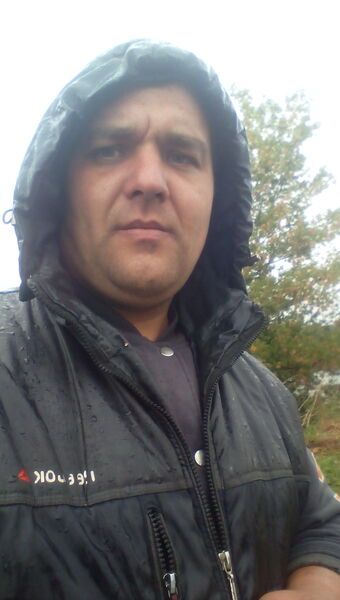  -,   , 34 ,   ,   