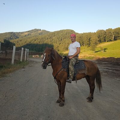  ,   , 56 ,   ,   