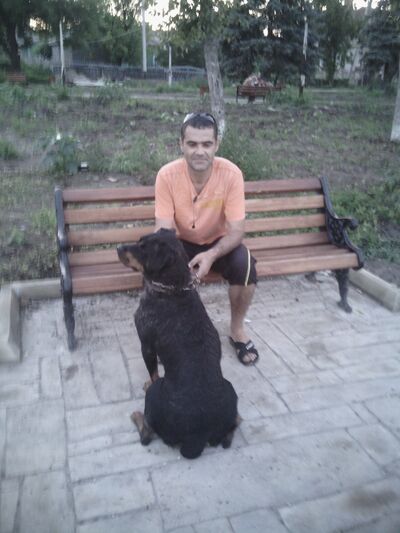  ,   , 50 ,   