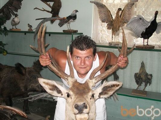  ,   Viktor, 35 ,     , c 