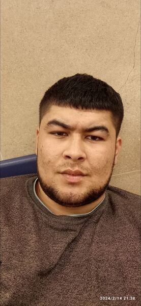  -,   , 31 ,   ,   