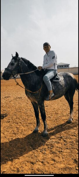  ,   Jamshid, 26 ,   ,   