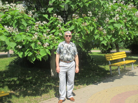  ,   , 62 ,   
