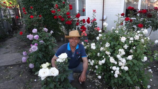  ,   , 71 ,   ,   , c , 