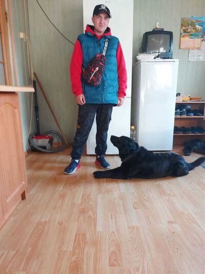  ,   , 33 ,     , c , 