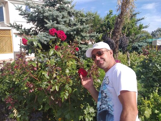  ,   , 41 ,     , c 