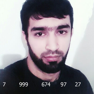  ,   Wise_Lion, 33 ,   ,   , c 