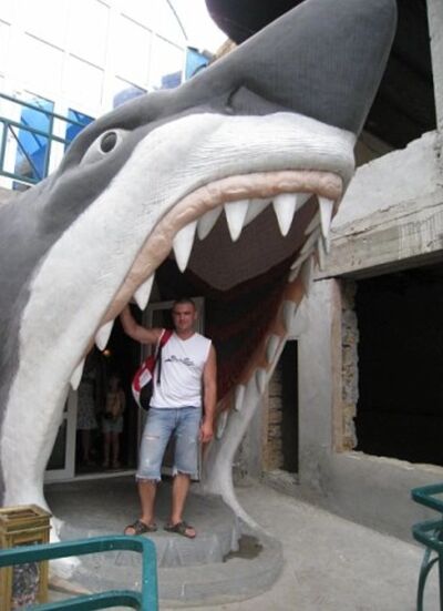  ,   ALEXEJ, 39 ,   ,   , c 