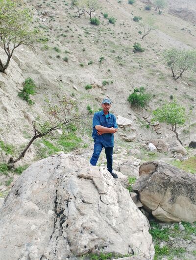  ,   Zoir, 54 ,   ,   