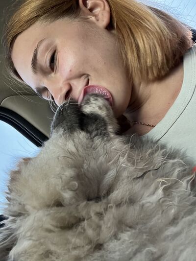  --,   , 22 ,   ,   , c 