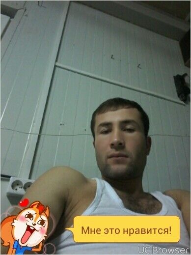  8679873  , 34 ,    