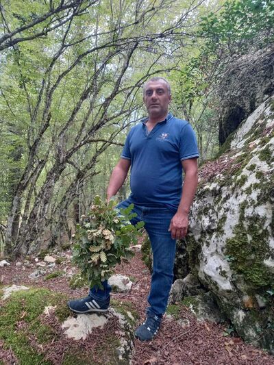  ,   , 48 ,  