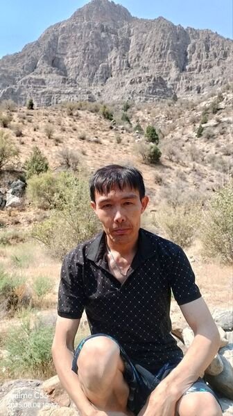  ,   Timur, 41 ,   ,   