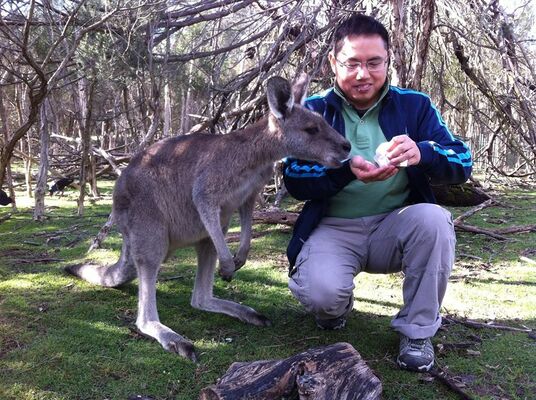 ���������� Fendalton, ���� ������� JACKY, 37 ���, ������������ ��� ������, ����� � ���������, c�������� ���������