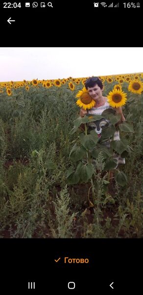  ,   , 65 ,  