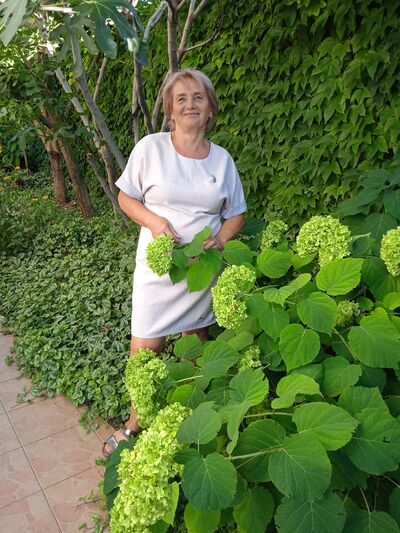  ,   , 66 ,   ,   