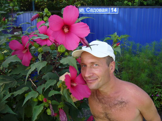   ,   , 50 ,   ,   , c 