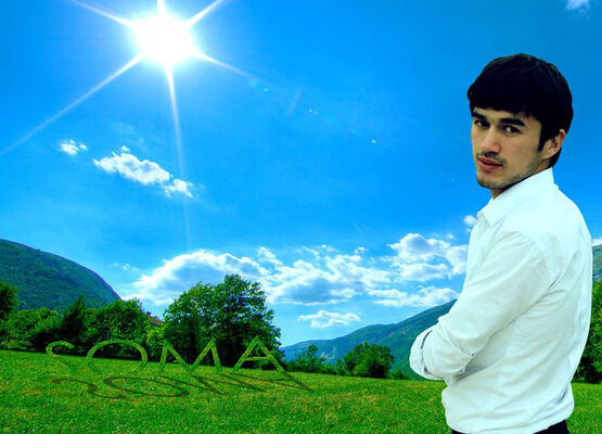  ,   ASM, 33 ,   ,   , c 