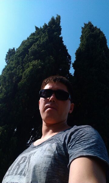 -,   , 38 ,   
