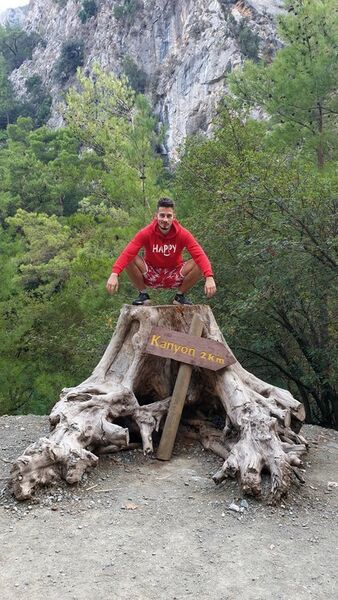  Warszawa,   Mihail, 31 ,   ,   , c , 