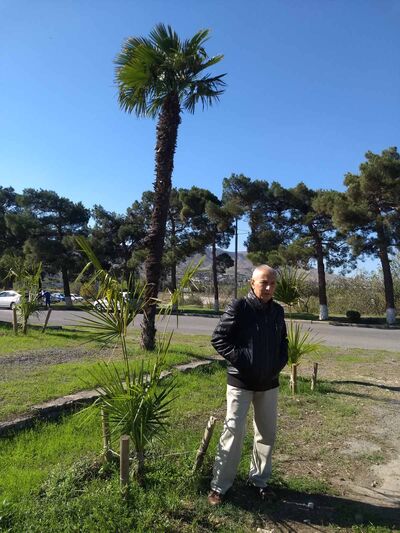  ,   Lery Jeffrey, 74 ,   ,   