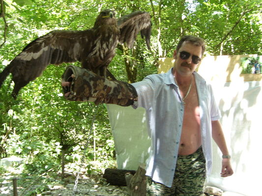  ,   , 54 ,   